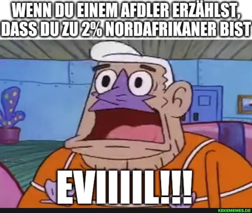 WENN DU EINEM AFDLER ERZÄHLSTS DASS DU ZU NORDAFRIKANER BIST
ff
