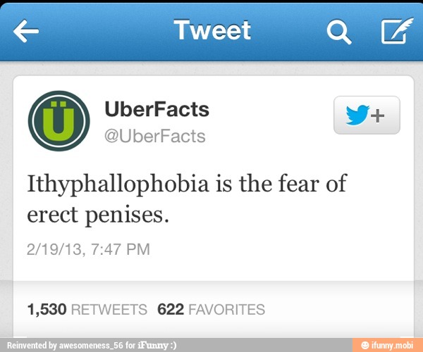 € Tweet
Ithyphallophobia is the fear of
erect penises.
1,530 RETWEETS 622 FAVORITES