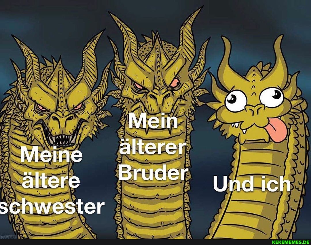 Mein
Meine älterer ältere Bruder Und ich
schwester