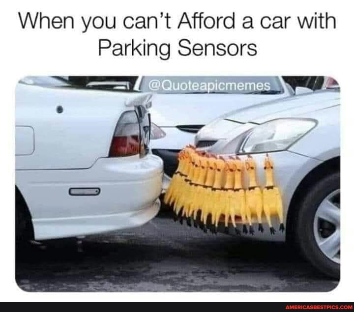 When you can't Afford a car with
Parking Sensors
luoteapicmemes