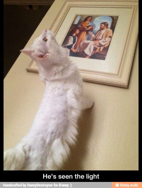 He's seen the light - He's seen the light