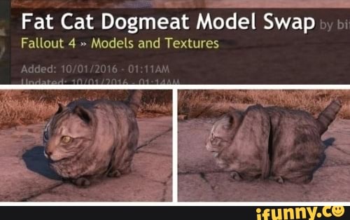 fallout 4 how to get a cat