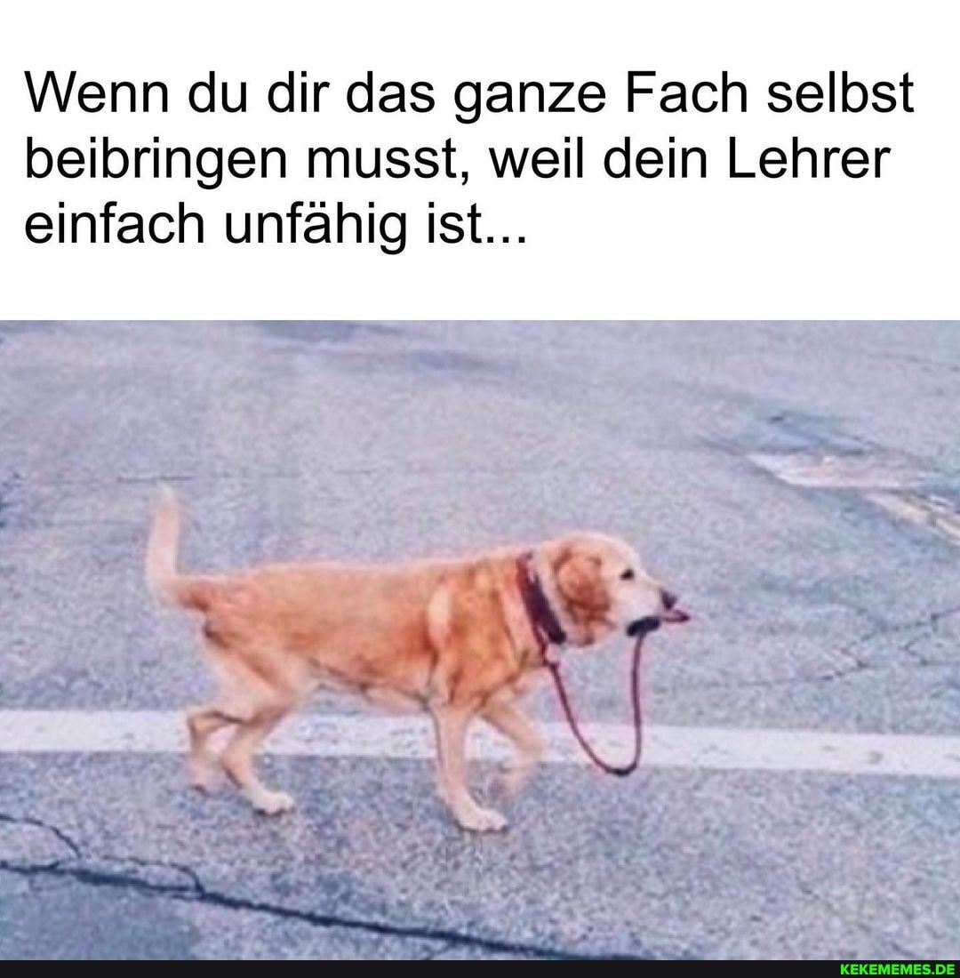 Wenn du dir das ganze Fach selbst
beibringen musst, weil dein Lehrer einfach unfähig ist...