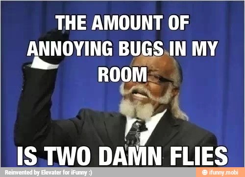 THE AMOUNT OF
ANNOYING BUGS, IN MY
ROOM:
IS TWO DANIN FLIES