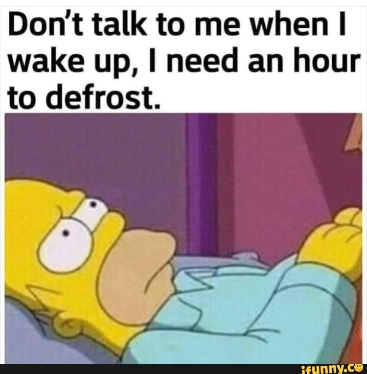 Don T Talk To Me When Wake Up I Need An Hour To Defrost