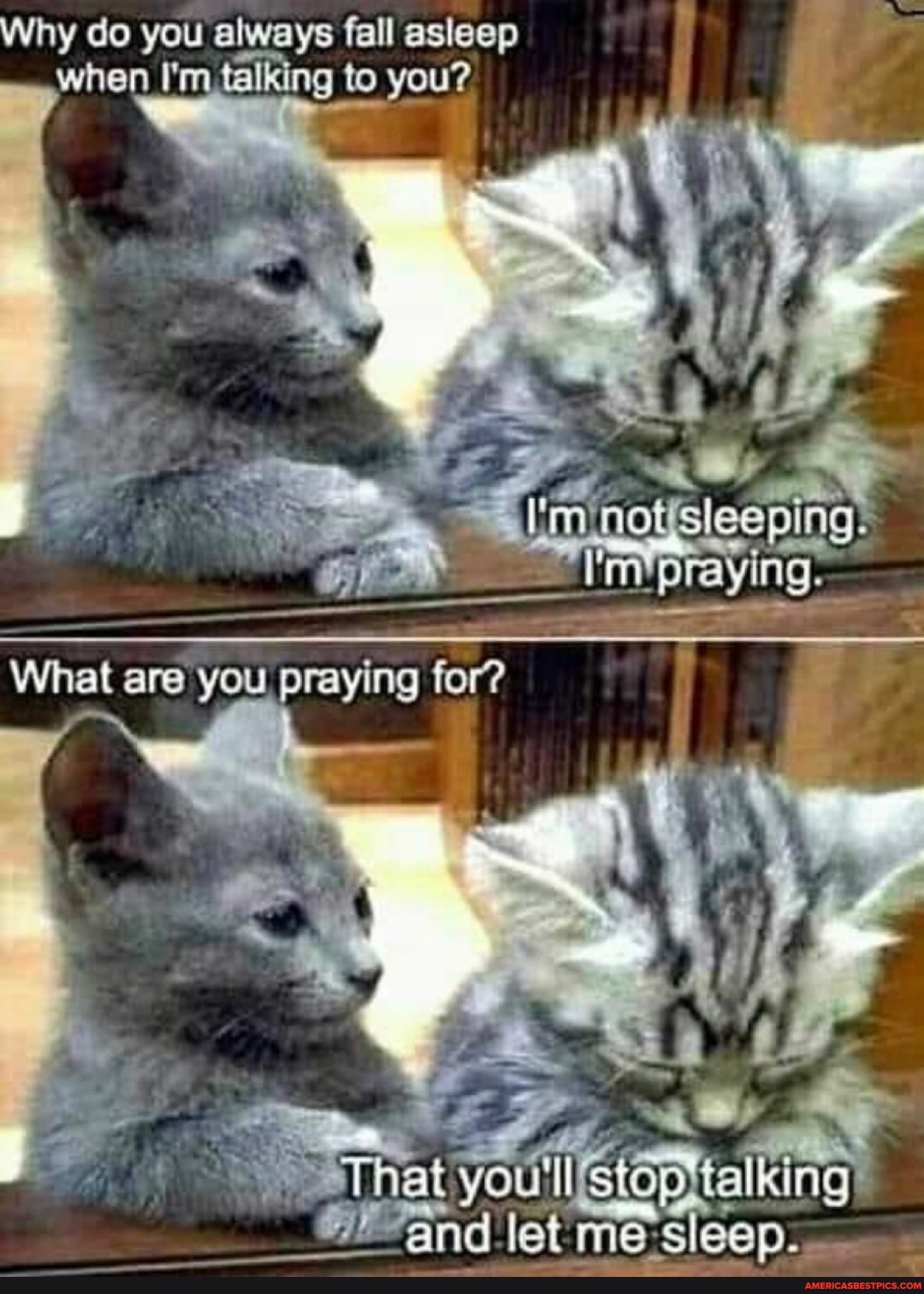Why do you always fall asleep when I'm talking to you?
fy
Sleeping
What are you praying for?
That youll
and let