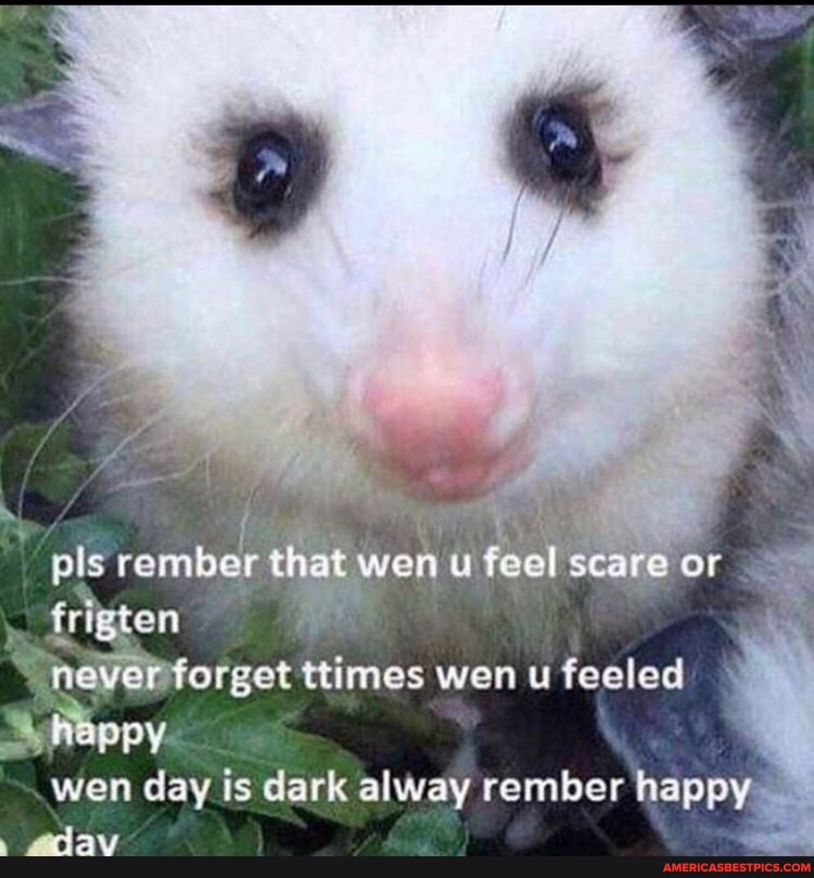 rember that wen u feel scare or forget ttimes wen u feeled
wen day is dark alway rember happy