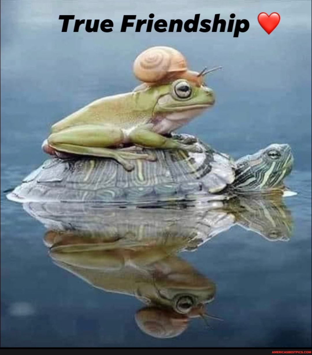 True Friendship