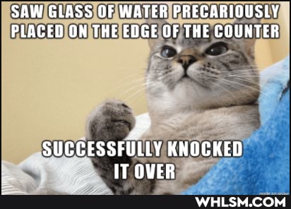SAW GLASS OF WATER PRECARIQUSLY PLACED ON THE EDGE OF THE COUNTER
SUCCESSFULLY KNOCKED IT OVER