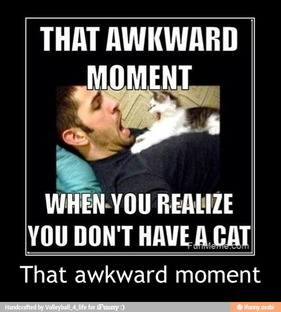 THAT AWKWARD
MOMENT
REALIZE
YOU DON'T HAVEA CAT.
That awkward moment - That awkward moment