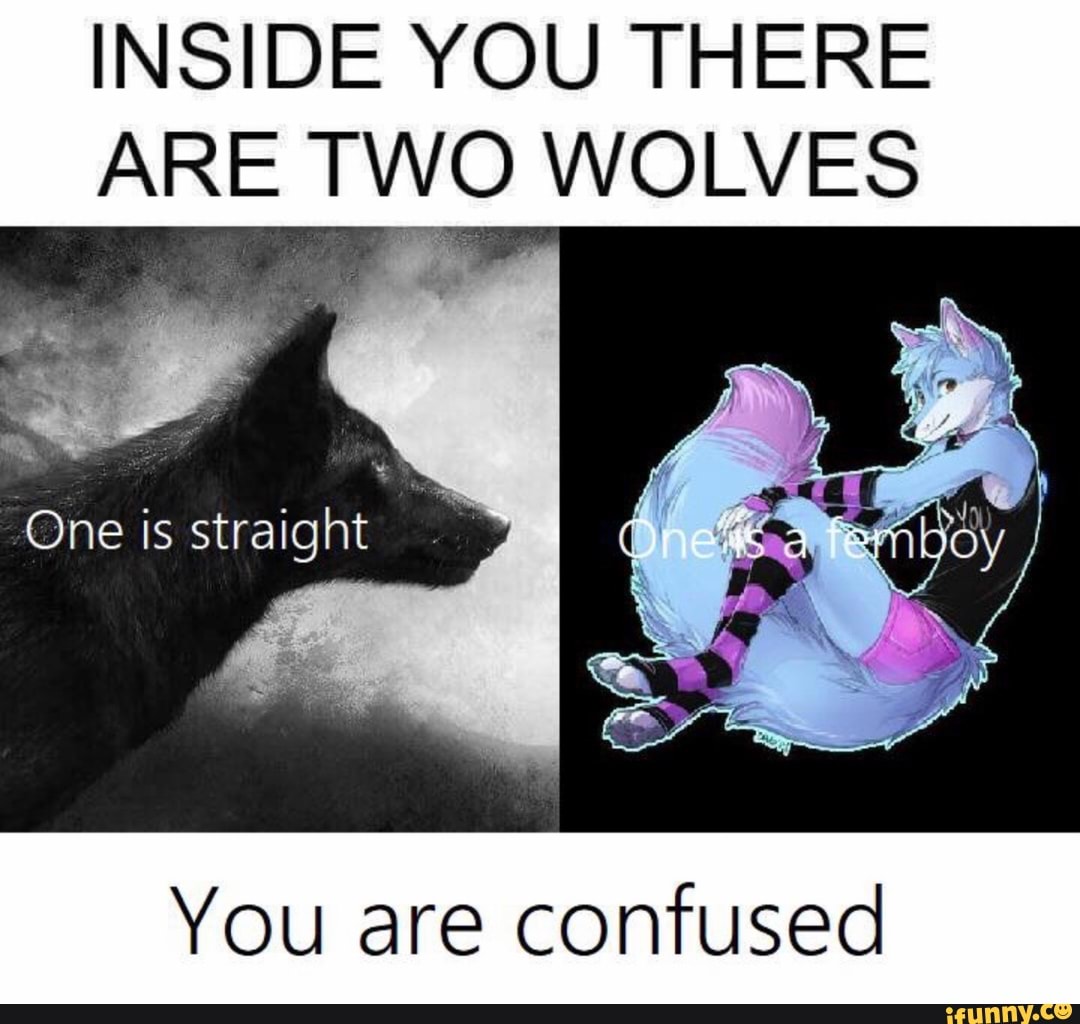 INSIDE YOU THERE ARE TWO WOLVES You are confused.