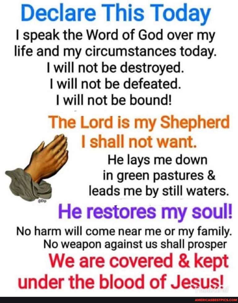 Declare This Today
I speak the Word of God over my life and my circumstances today.
I will not be destroyed.
I will not be defeated.
will not be bound!
The Lord is my Shepherd shall not want.
He lays me down
in green pastures & leads me by still waters.
He restores my soul!
No harm will come near me or my family.
No weapon against us shall prosper
We are covered & kept under the blood of Jesus!