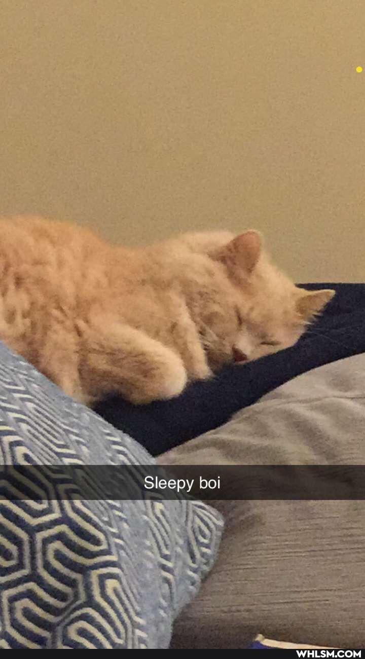 Sleepy boi