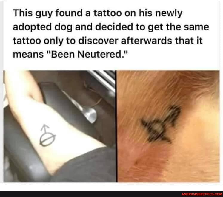 This guy found a tattoo on his newly adopted dog and decided to get the same tattoo only to discover afterwards that it means "Been Neutered."
WW