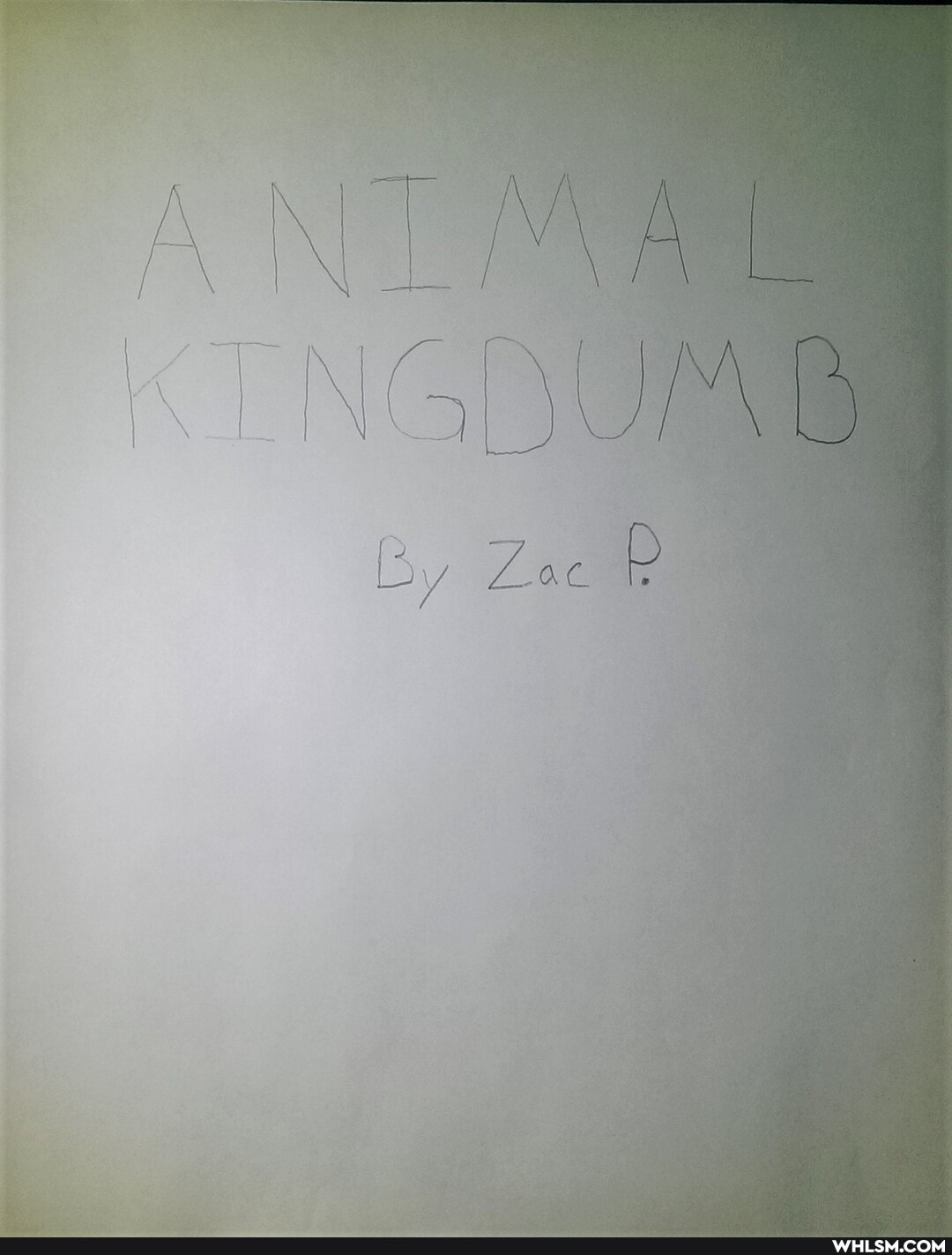 ANIMAL NGDUM DB
by Zoe