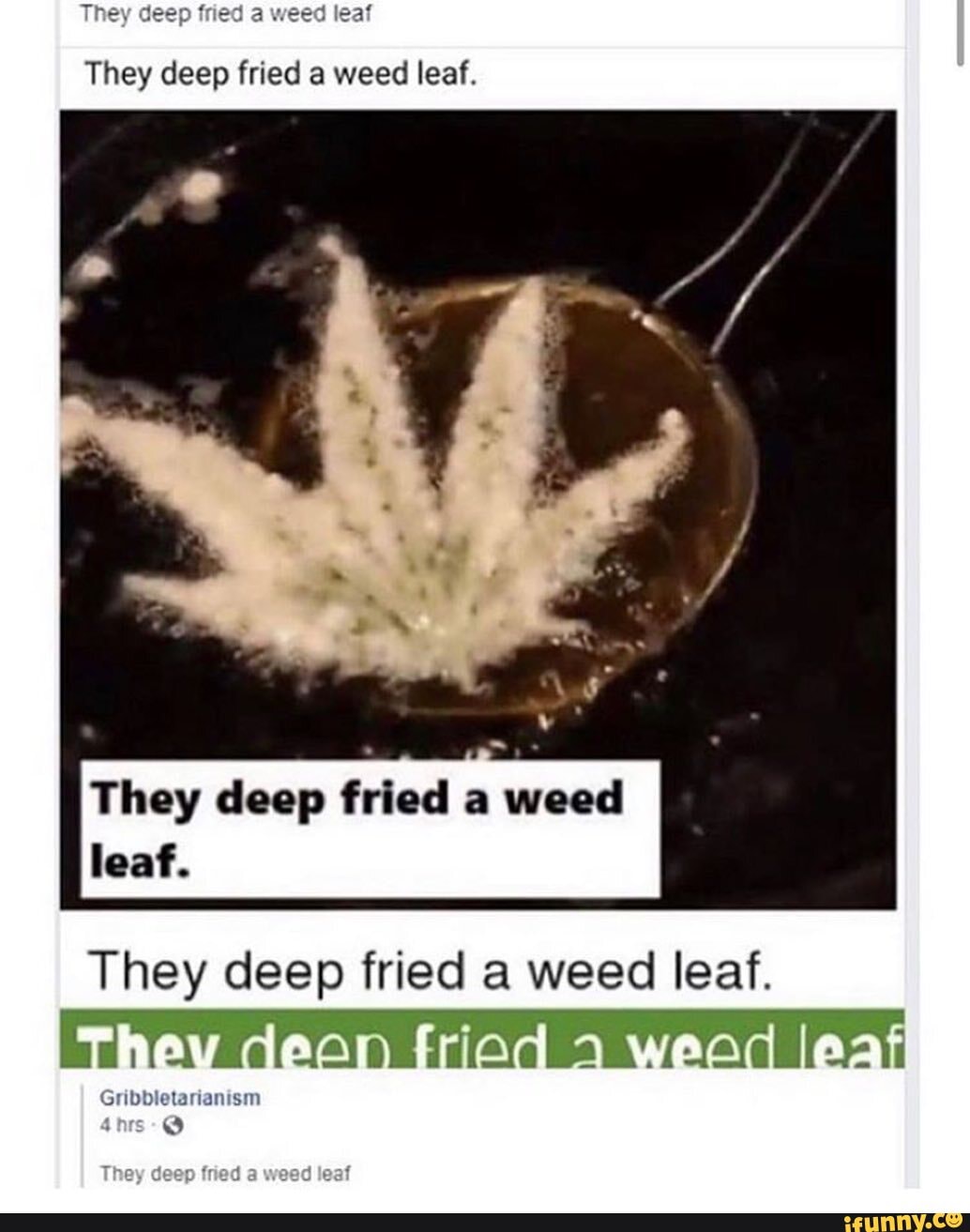 Hey deep fried a weed leaf They deep fried a weed leaf. They deep fried