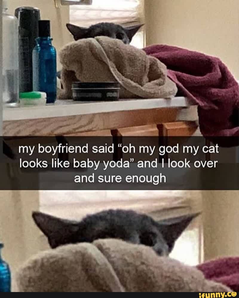 My Boyfriend Said Oh My God My Cat Looks Like Baby Yoda Over And Sure Enough