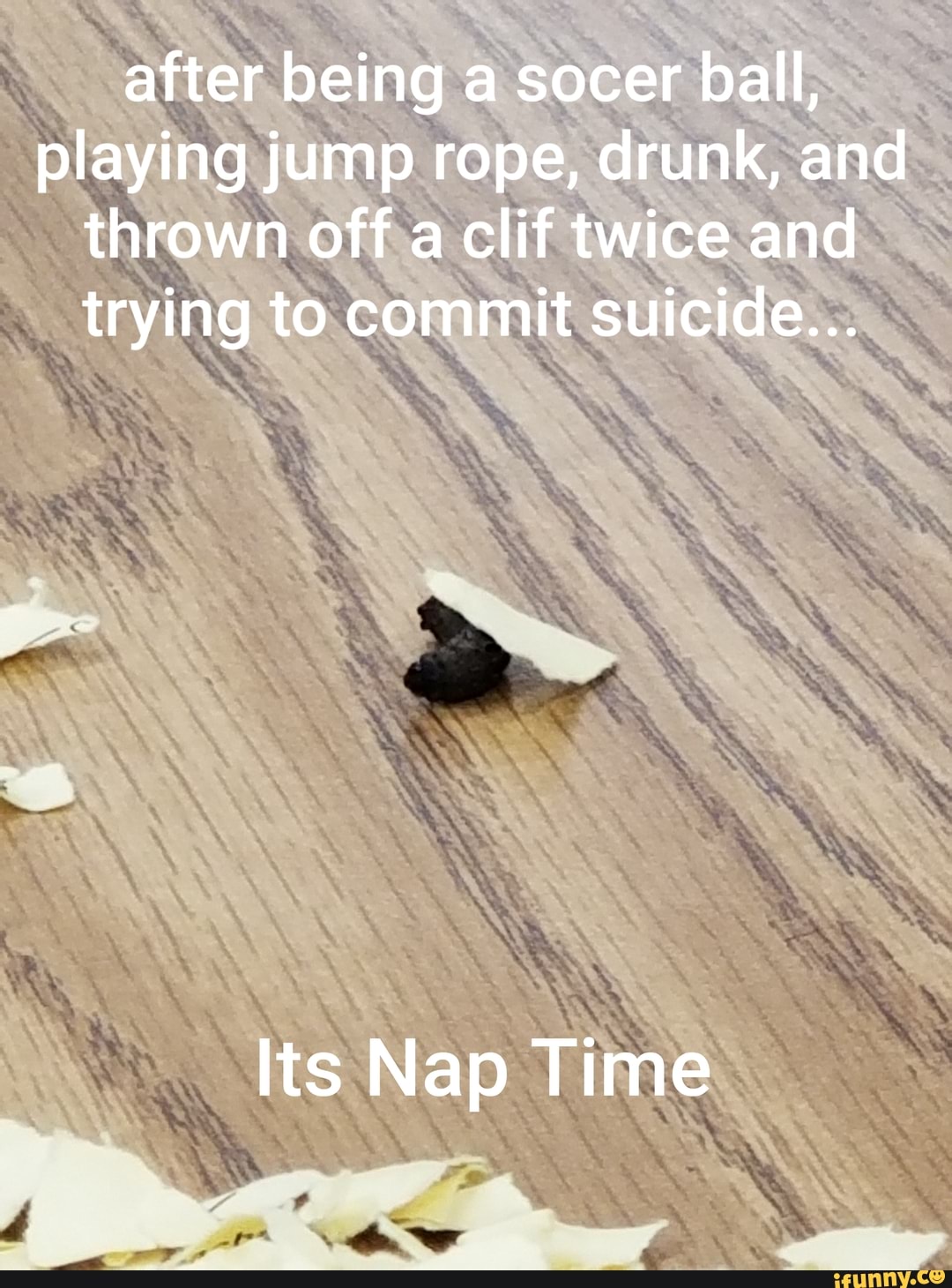 after being a socer ball, playing jump rope, drunk, and thrown off a clit twice and trying to commit suicide...
Its Nap Time