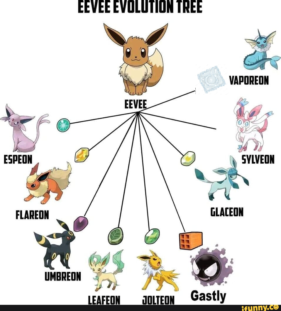 Pokemon Vaporeon Eevee - EEVEE EVOLUTION TREE - iFunny Brazil