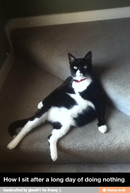 How I sit after a long day of doing nothing - How I sit after a long day of doing nothing