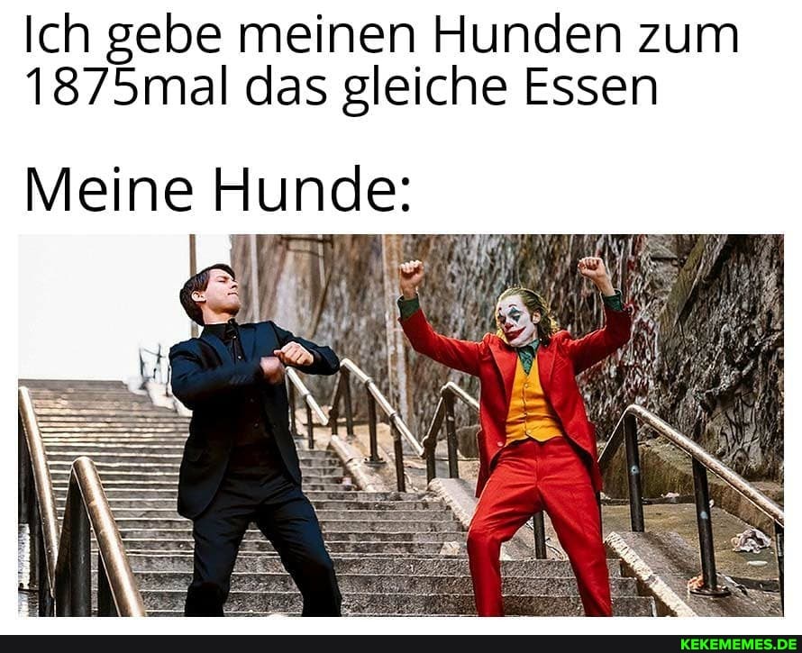 Ich gebe meinen Hunden zum
1875mal das gleiche Essen