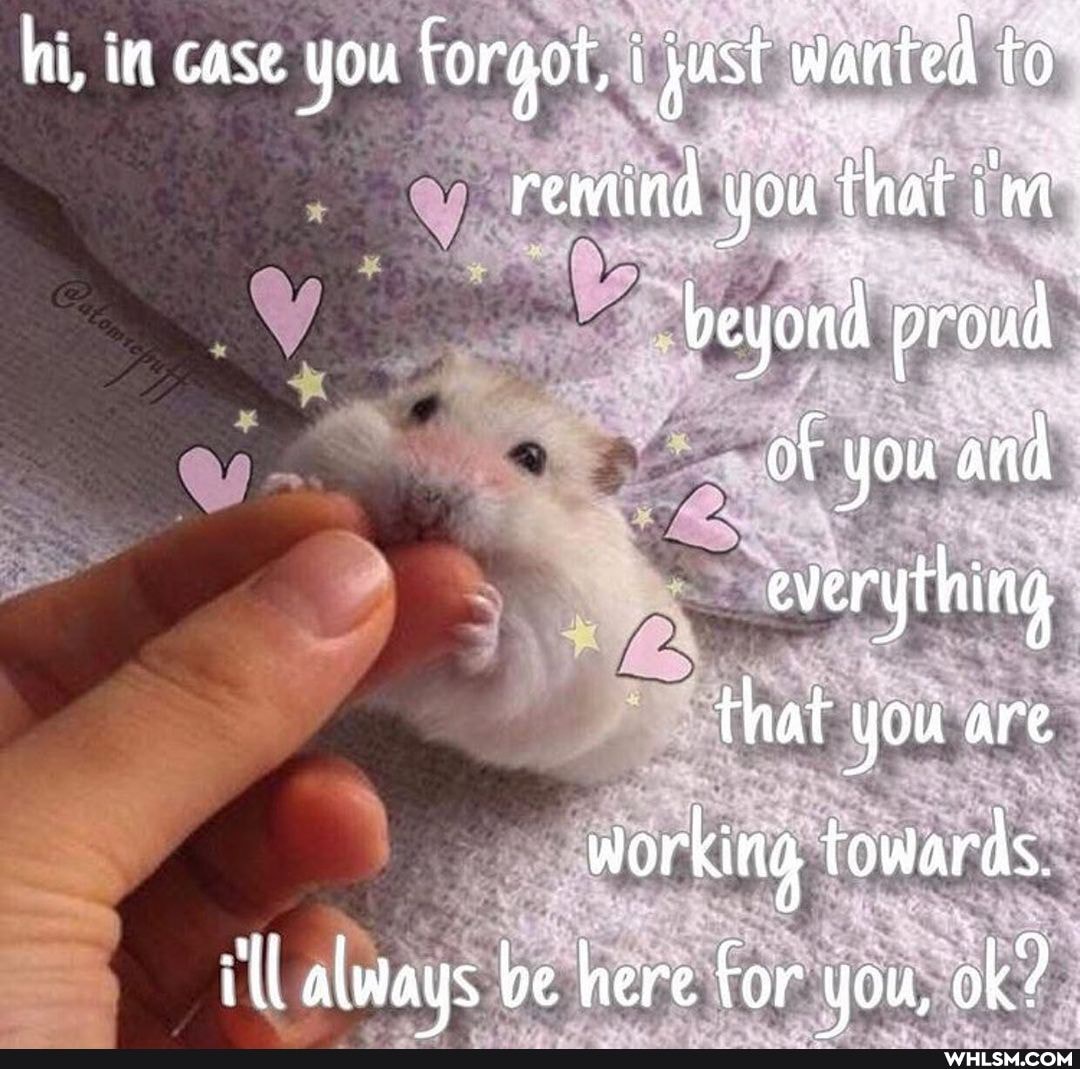 hi, in case you forgot, just we wanted to remind you t 'that
beyond proud
of you and
everything
that you are
working towards.
always be here For you, ok?