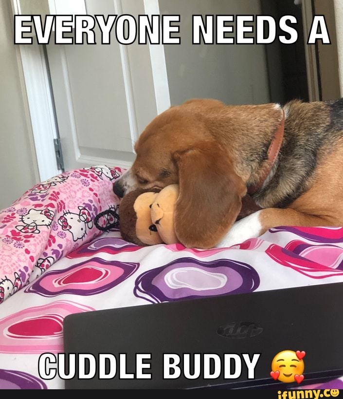 cuddle buddy meme