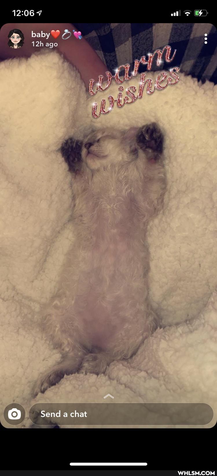 baby
ago
Send a chat