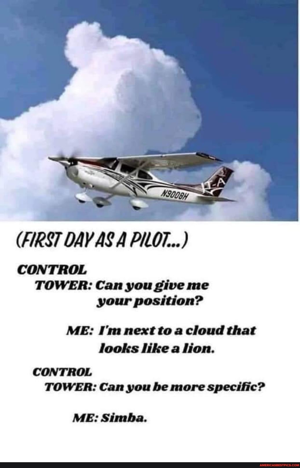 (FIRST DAV AS A PILOT...)
CONTROL TOWER: Can you give me your position?
ME: I'm next to a cloud that looks like a lion.
CONTROL TOWER: Can you be more specific?
ME: Simba.
