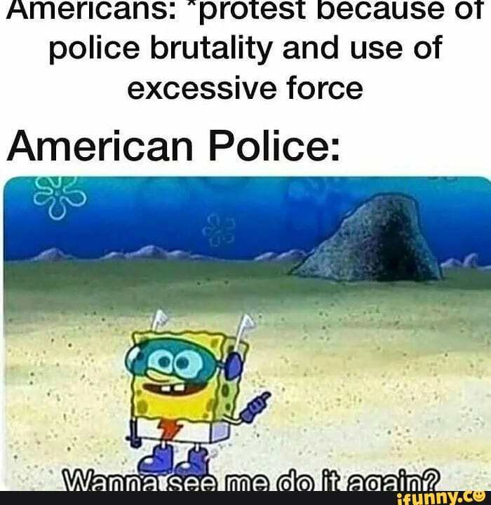 Americans. protest DECause OT police brutality and use of excessive force
American Police: