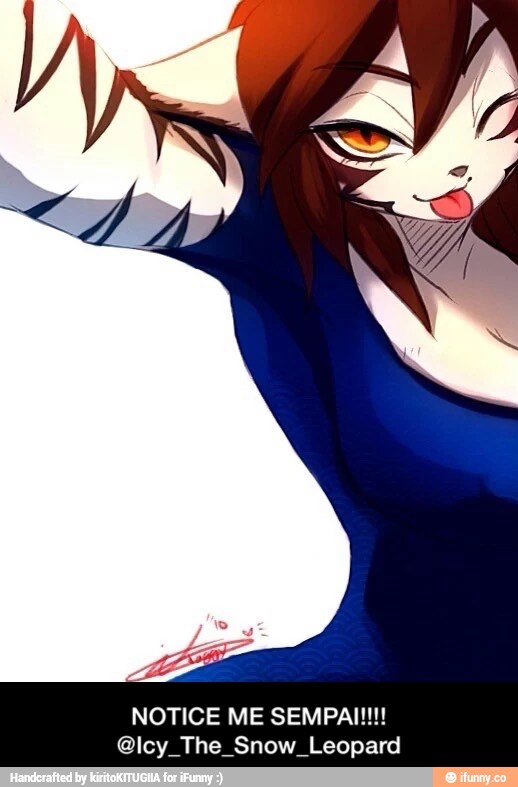 NOTICE ME SEMPAI!!!! - NOTICE ME SEMPAI!!!! @Icy_The_Snow_Leopard