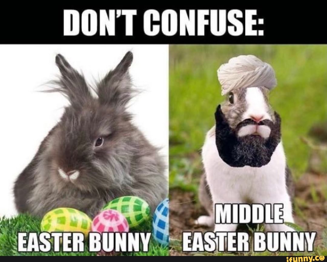 DONT CONFUSE MIDDLE EASTER BUNNY EASTER BUNNY iFunny