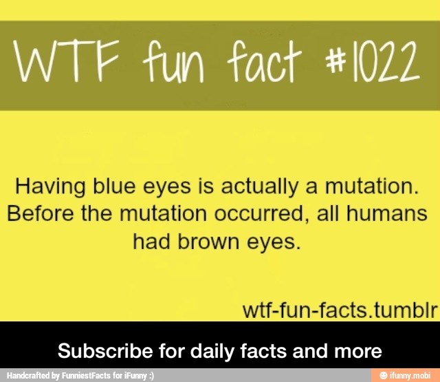 Having blue eyes is actually a mutation.
Before the mutation occurred, all humans
had brown eyes.
Subscribe for daily facts and more - Subscribe for daily facts and more