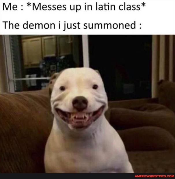 Me *Messes up in latin class*
The demon i just summoned :