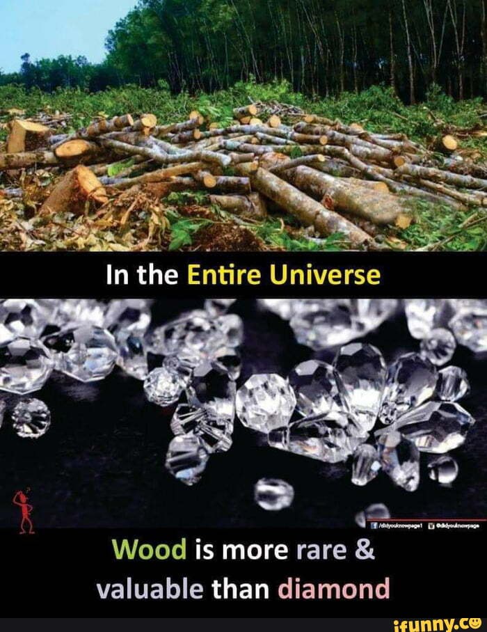 Morning motivation In the Entire Universe Wood is more rare valuable