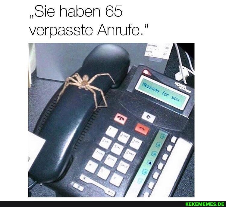 "Sie haben 65 verpasste Anrufe."