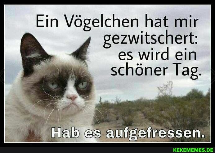 Ein Vögelchen hat mir
gezwitschert: es wird ein schöner Tag.
Hab es aufgefressen.