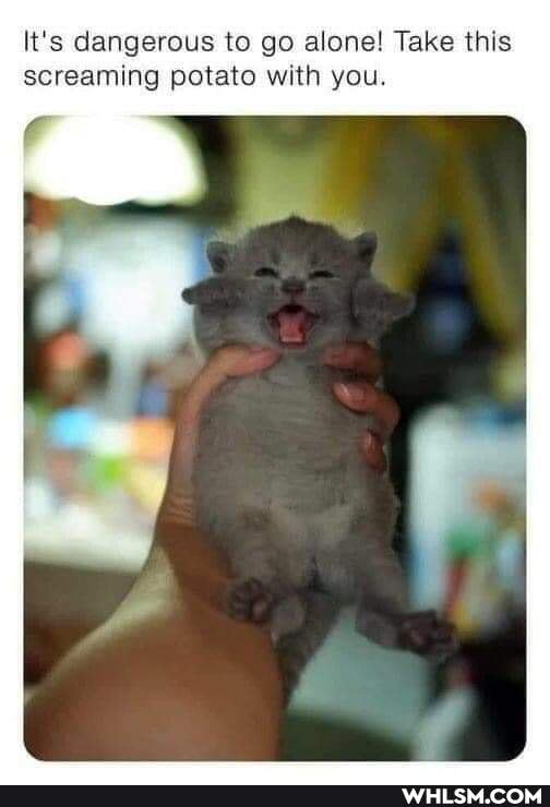 It's dangerous to go alone! Take this screaming potato with you.