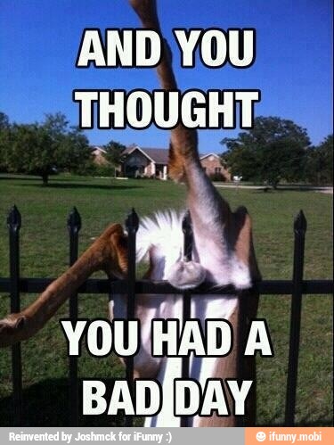 AND YOU
BADIDAY