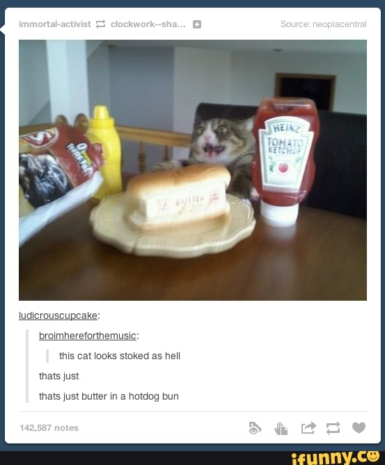 broimhereforthemusic:
this cat looks stoked as hell
thats just butter in a hotdog bun