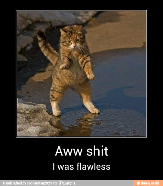 Aww shit
I was flawless - Aww shit
I was flawless