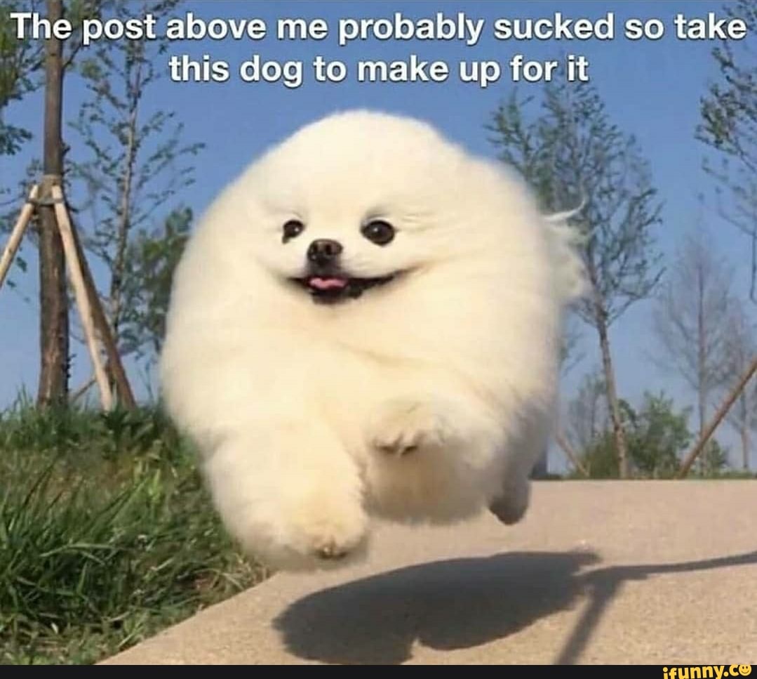 The post above me probably sucked so take
this dog to make up for it