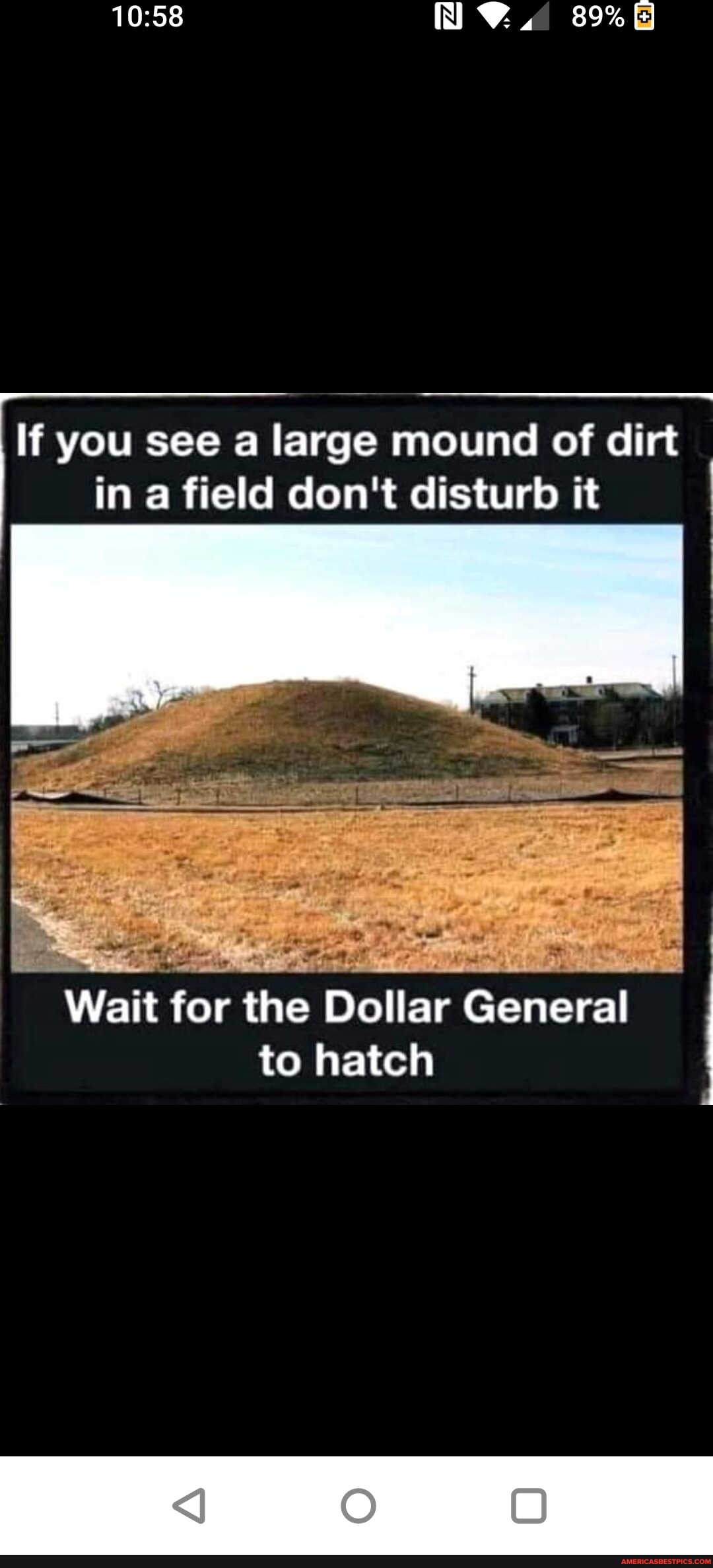 89 If you see a large mound of dirt I in field don't disturb it Wait for the Dollar General to