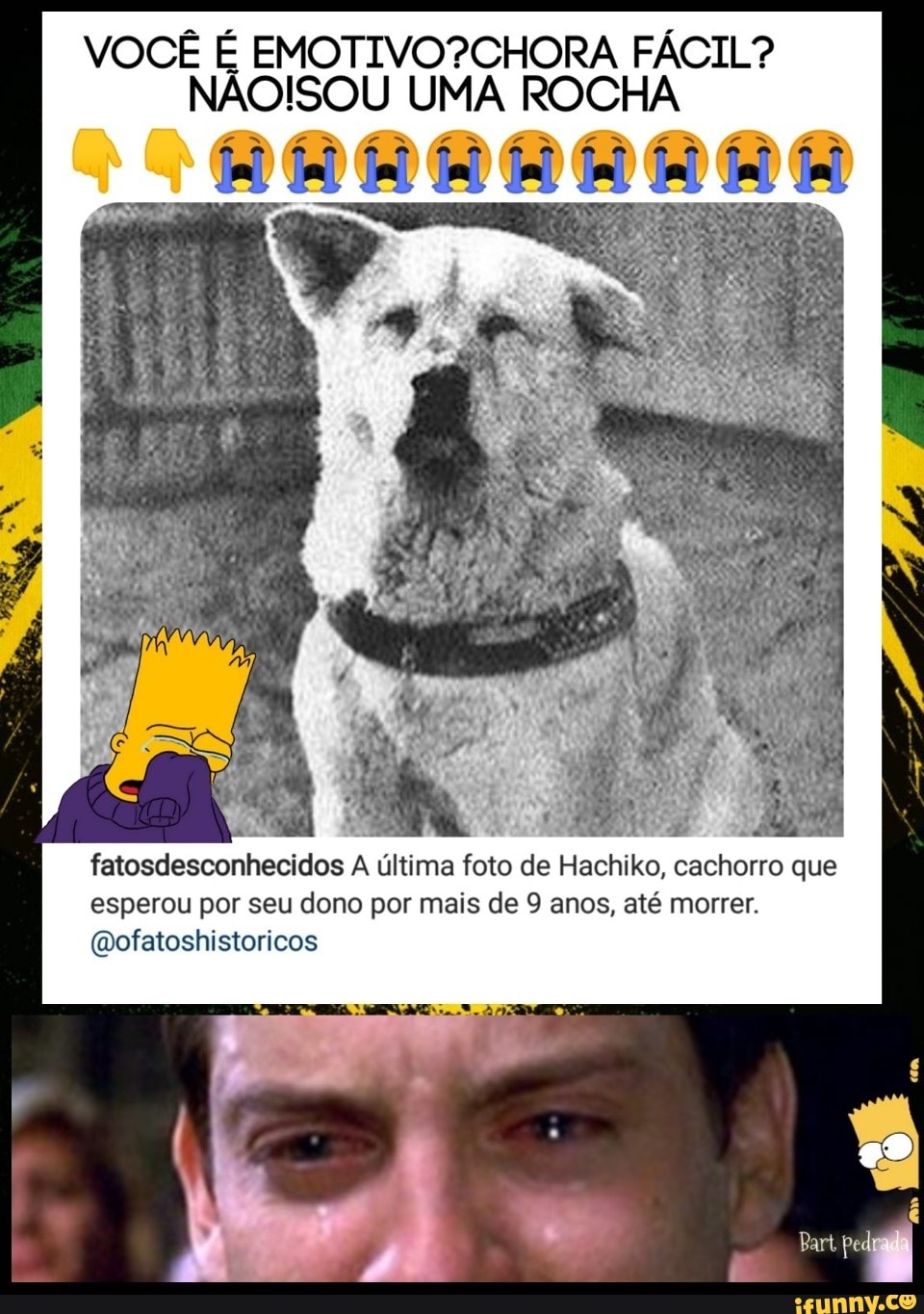VOCÊ É EMOTIVO?CHORA FÁCIL?
NAO!ISOU UMA ROCHA
fatosdesconhecidos A ultima foto de Hachiko, cachorro que
esperou por seu dono por mais de 9 anos, até morrer.
@ofatoshistoricos