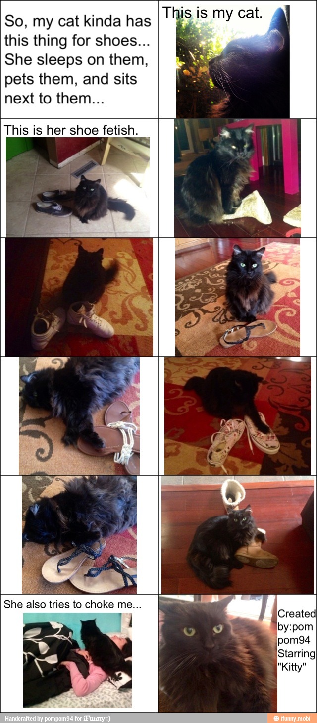 So, my cat kinda has
this thing for shoes...
She sleeps on them,
pets them, and sits
This is her shoe fetish.