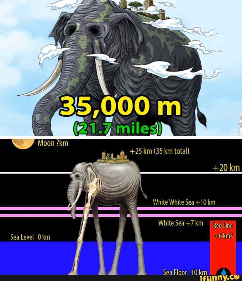 Zunisha's Confirmed Height Is 35,000 M - IFunny