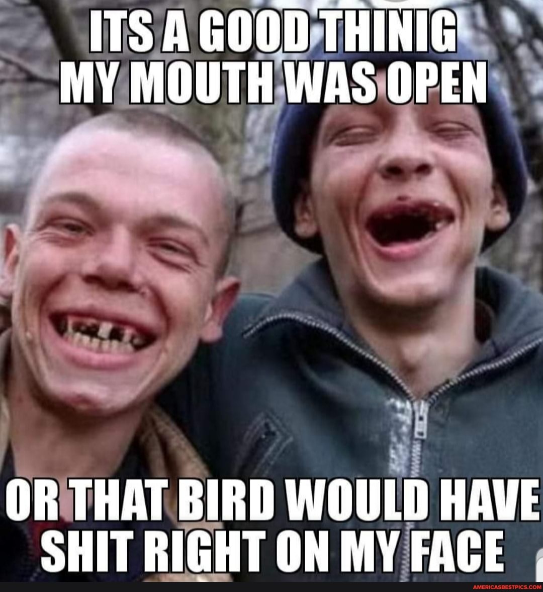ITS A GOOD THINIG MY MOUTH WAS OPEN
OR THAT BIRD WOULD HAVE SHIT RIGHT ON MY FACE