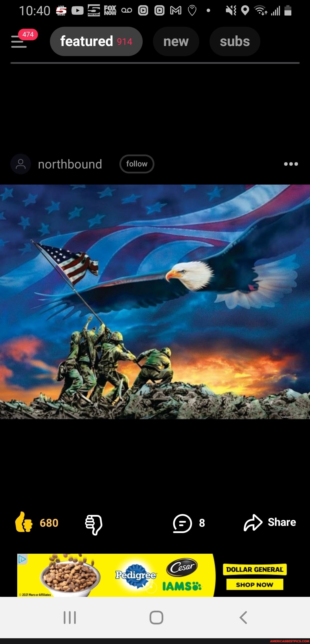 pedigree dollar general