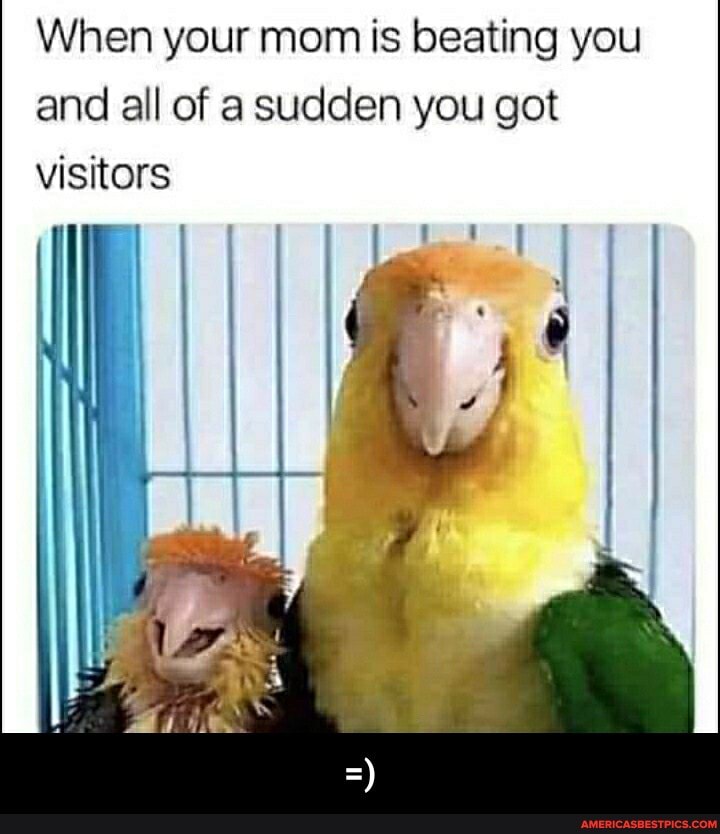 When your mom is beating you and all of a sudden you got visitors - =)