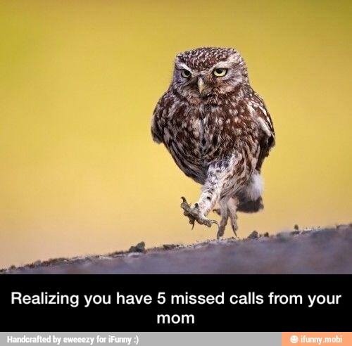 Realizing you have 5 missed calls from your
mom - Realizing you have 5 missed calls from your mom